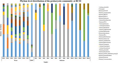 An insight into the prokaryotic diversity from a polymetallic nodule-rich region in the Central Indian Ocean Basin using next generation sequencing approach